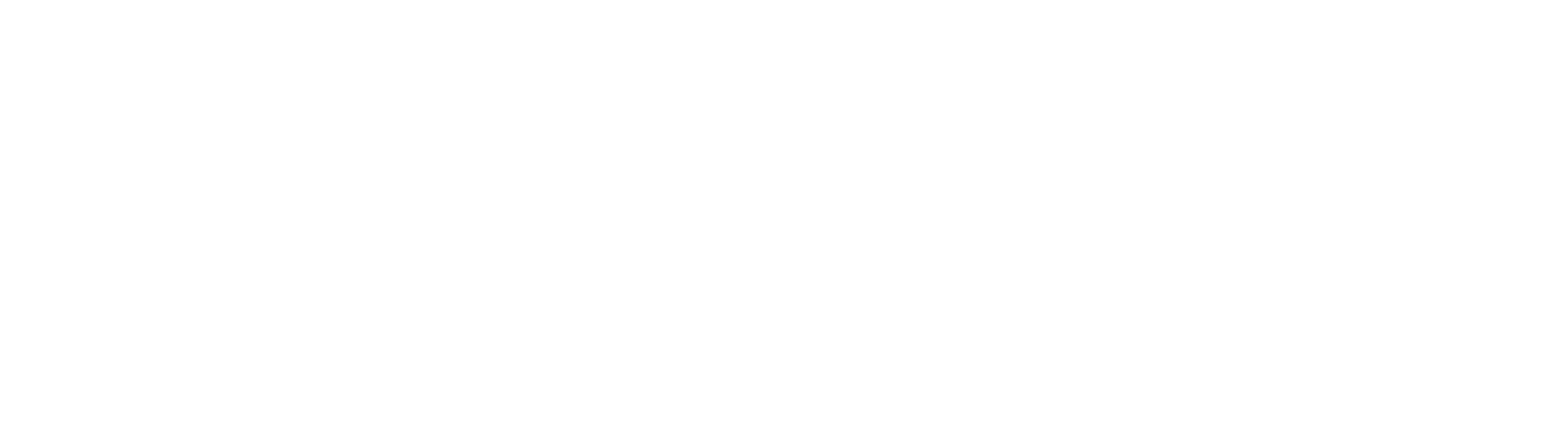 CEESA+Logo+White