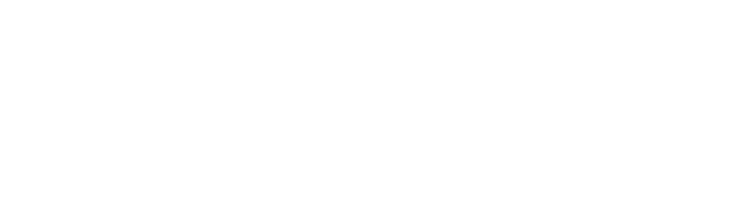 CEESA 2025 Conf Logo Long N